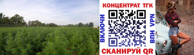 Дистиллят ТГК вейп  Купить закладки  Кологрив 