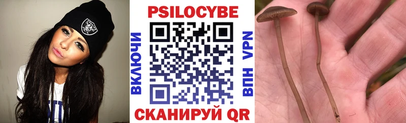 Купить закладки  Кологрив  Псилоцибиновые грибы GOLDEN TEACHER 